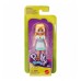 POLLY POCKET VE ARKADAŞLAR SERİSİ (6)